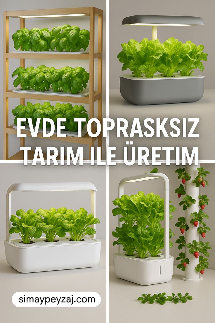 Evde Topraksız Tarım ile Üretim: Kendi Gıdanı Kendin Yetiştir!